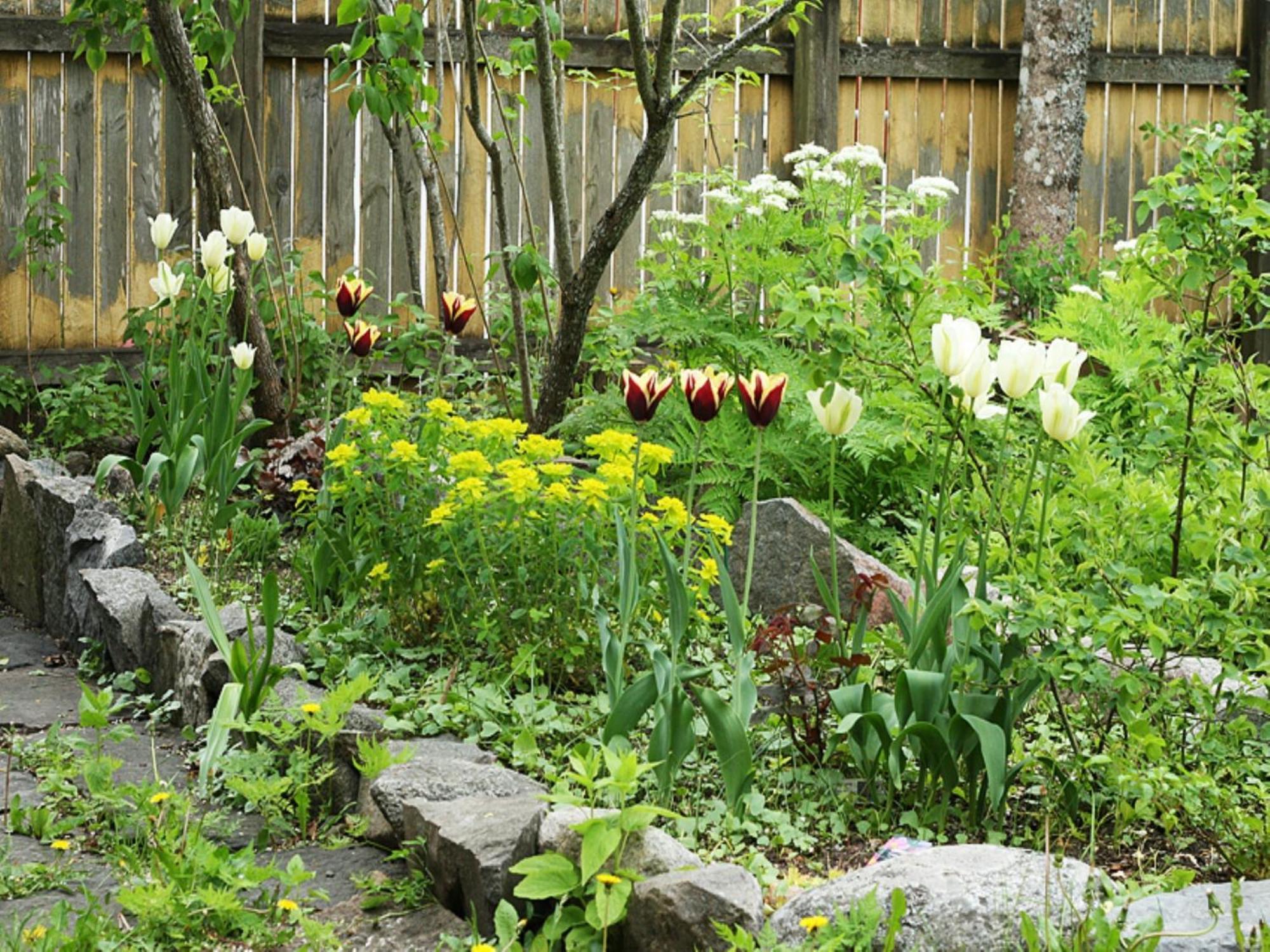 Uddens Bed & Breakfast Bed & Breakfast Oregrund Exterior photo